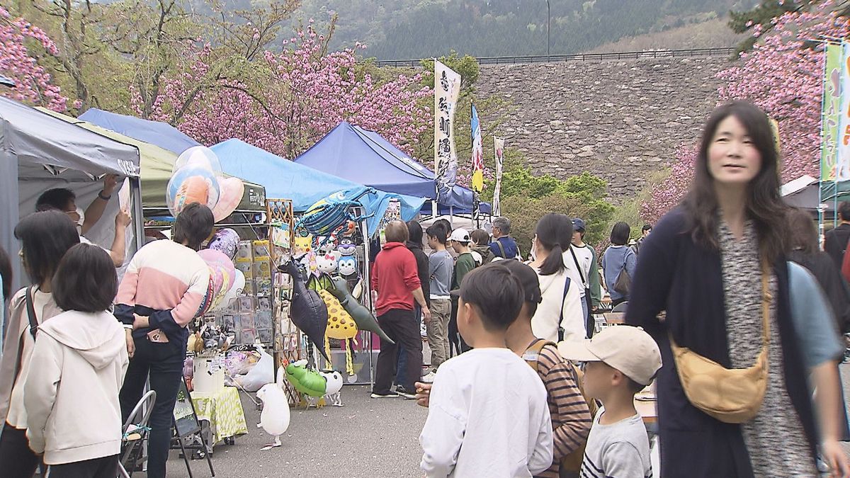 遅咲きのヤエザクラのなかの飲食屋台やライブステージ　「船上山さくら祭り」が開催　祭りを通して町の活性化を図る　鳥取県琴浦町