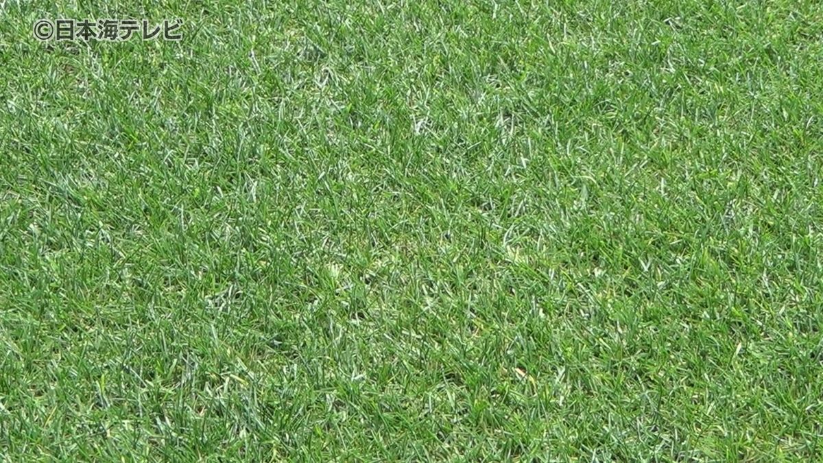 サンフレッチェ広島の本拠地に新スタジアム！　鳥取の砂丘地を生かして育った良質な芝を使用　その特徴とは…