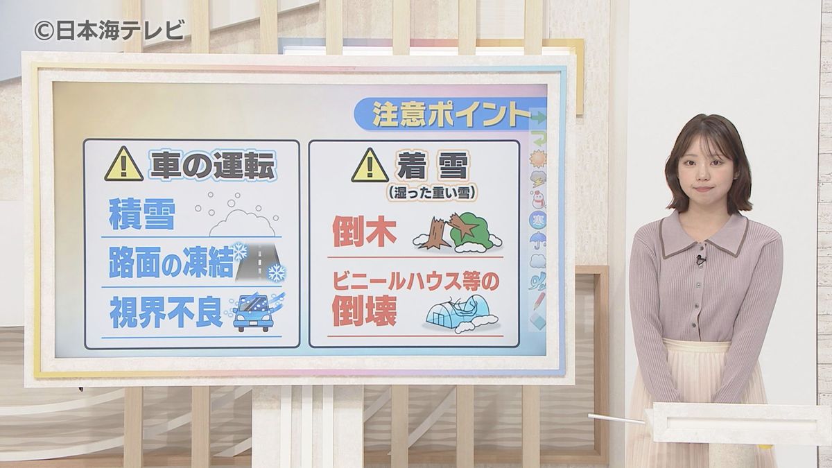 【町田気象予報士解説】山沿いを中心に雪が増える見込み　日本海で発達した雪雲が次々と流れ込み、急に雪が強まる可能性も　山陰地方