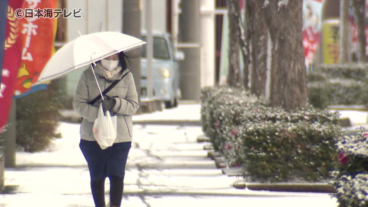人も犬も防寒対策…　山陰地方24地点で今季最低気温を観測　鳥取県・島根県