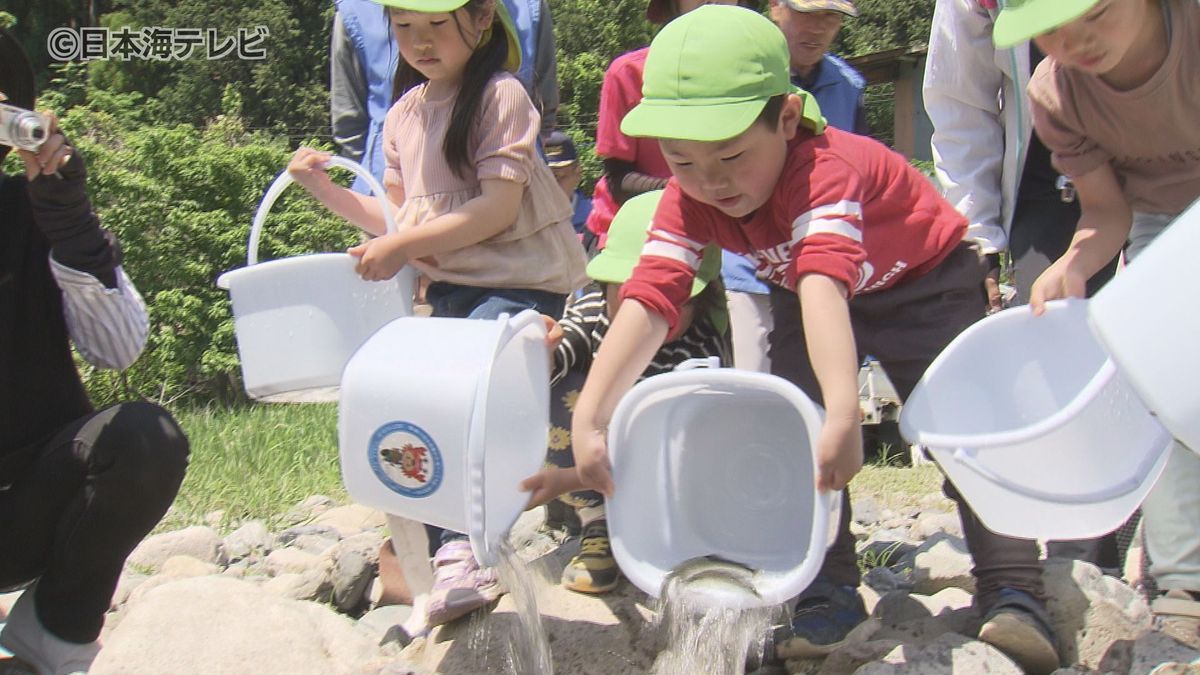 「おおきくなってねー」　園児たちがアユの稚魚を放流　2日間で11万6000匹を千代川へ　鳥取県智頭町