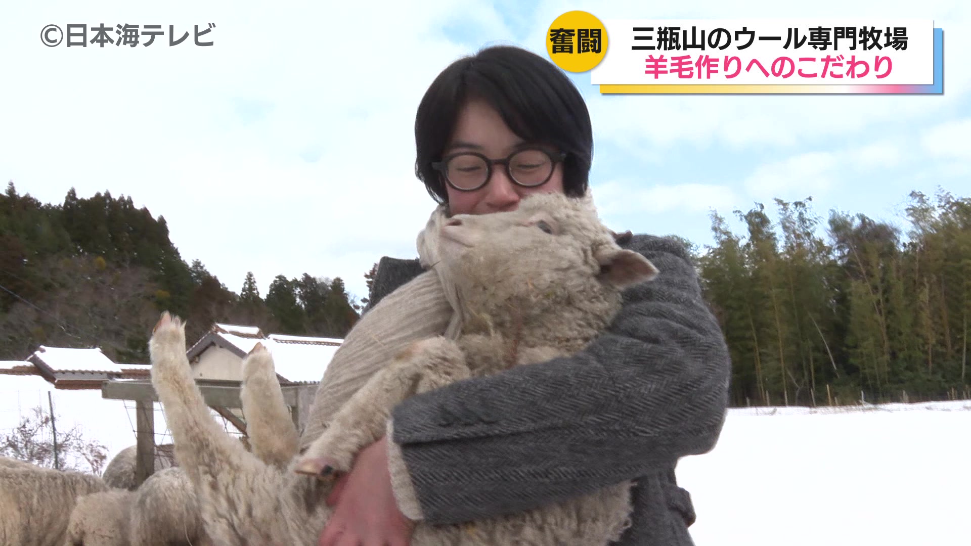 三瓶山のふもとで奮闘 ウールで届けたい思い ヒツジの幸せを見つける