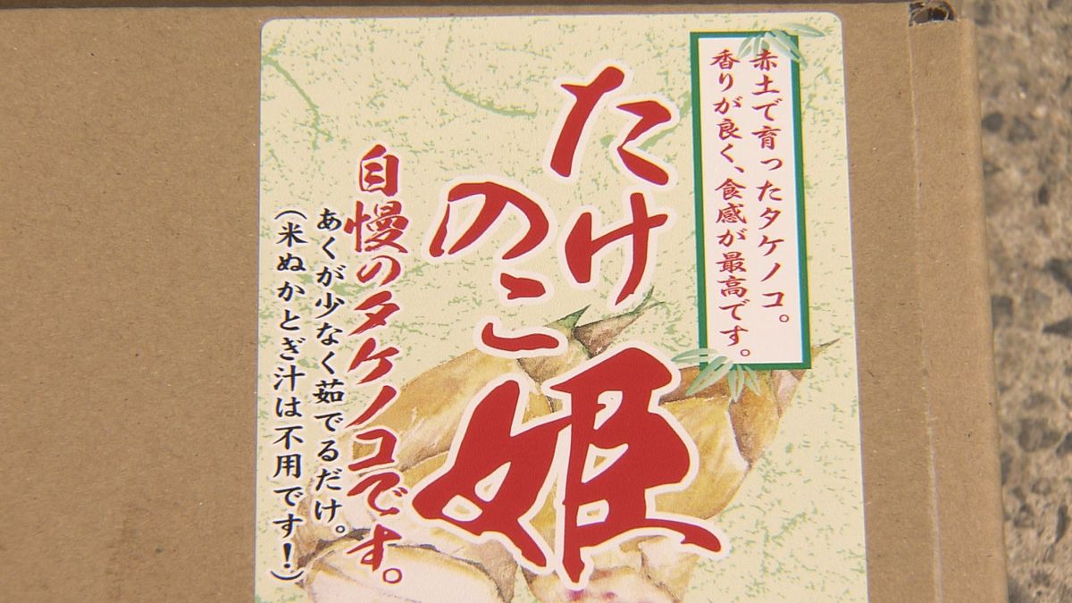 鳥取市鹿野町で生産されているブランドタケノコ「たけのこ姫」　インターネット販売にも力を入れ、大手通販サイトでも人気　発送方法に工夫も　鳥取県鳥取市