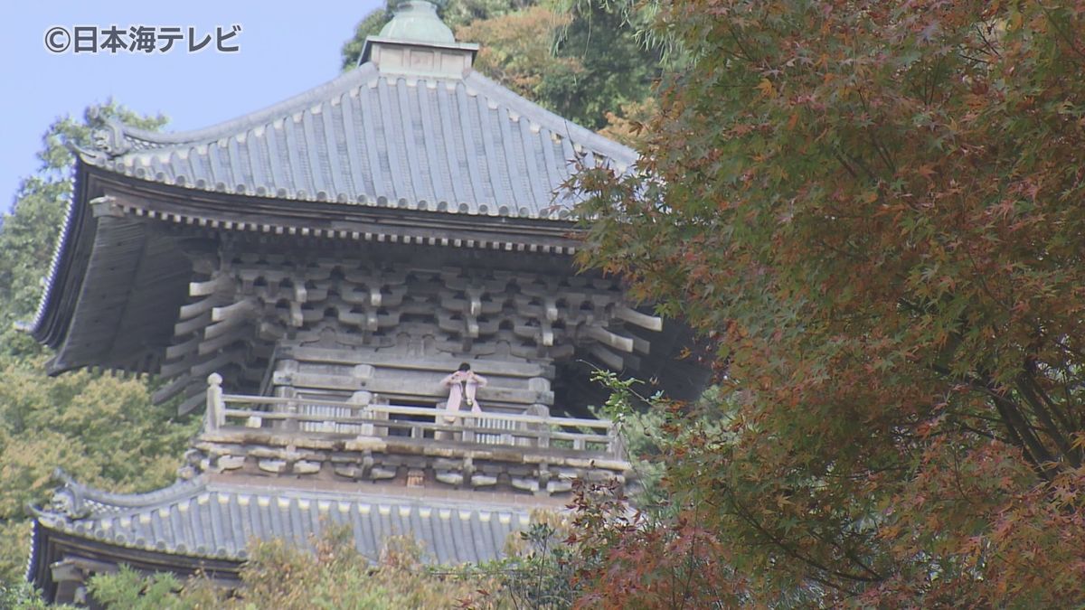 秋晴れの空が広がり　少し遅い紅葉狩りを楽しむ人たちも　一方、例年とは違う景色に困惑する人も　島根県安来市・鳥取県日南町