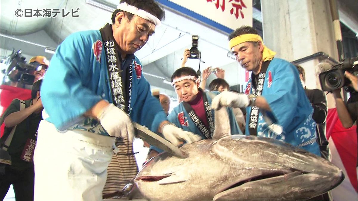 体験型ふるさと納税の返礼品としてマグロ解体ショー