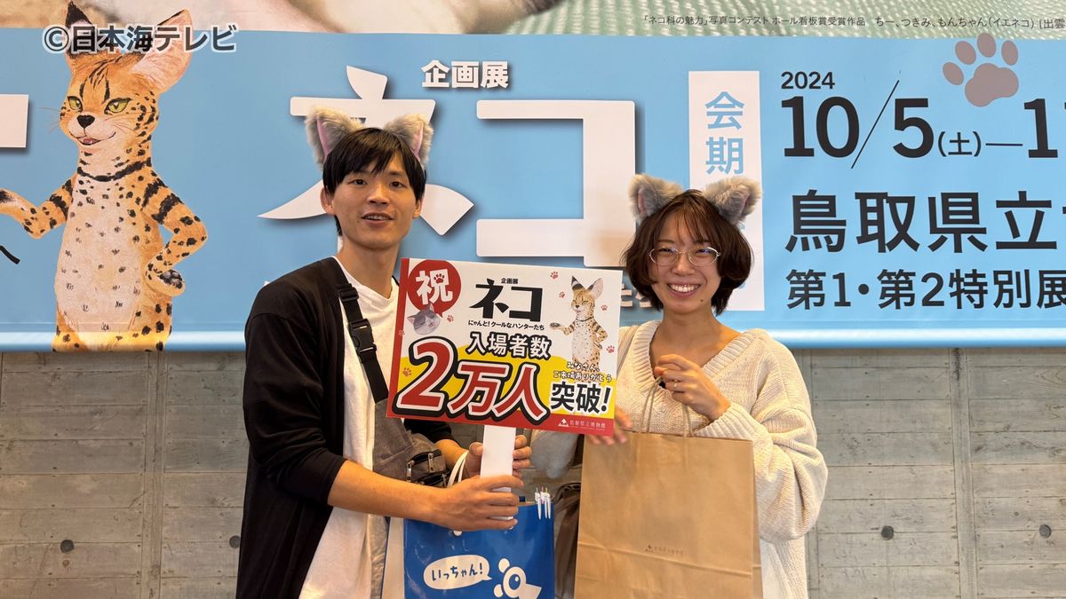来場者が2万人突破 ネコの魅力満載!企画展「ネコ」 鳥取県鳥取市