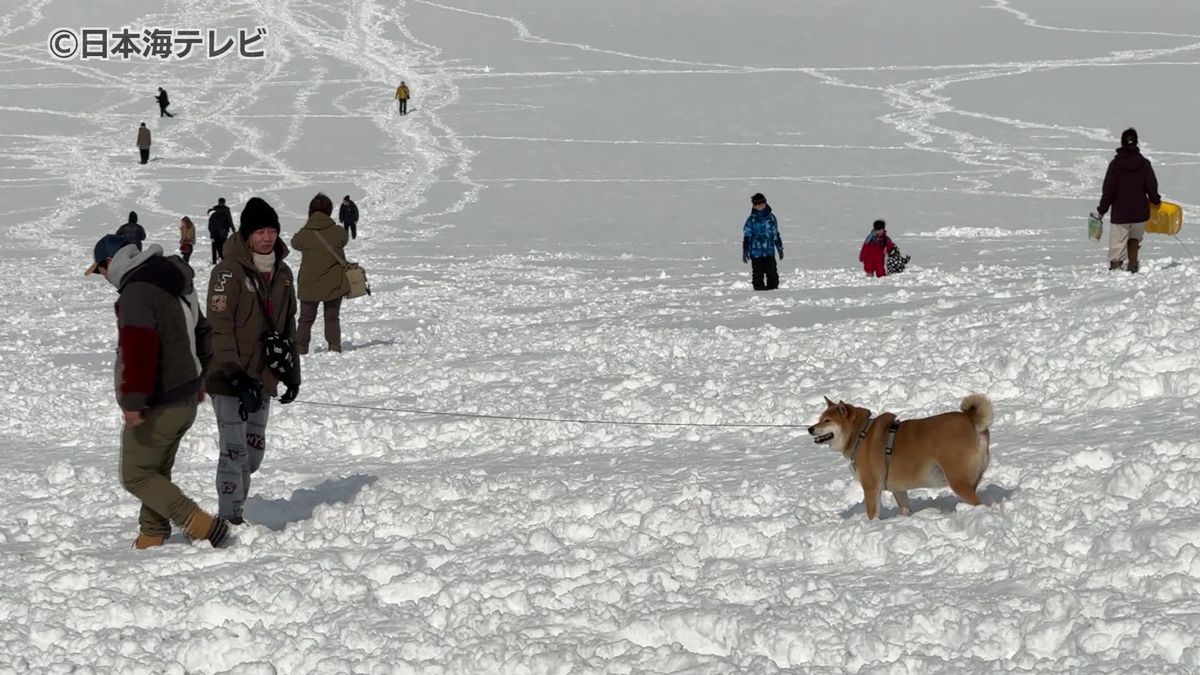 鳥取砂丘が白銀世界に　3連休中日の山陰は断続的に降雪　24日未明から夕方にかけ大雪の恐れも　鳥取県鳥取市