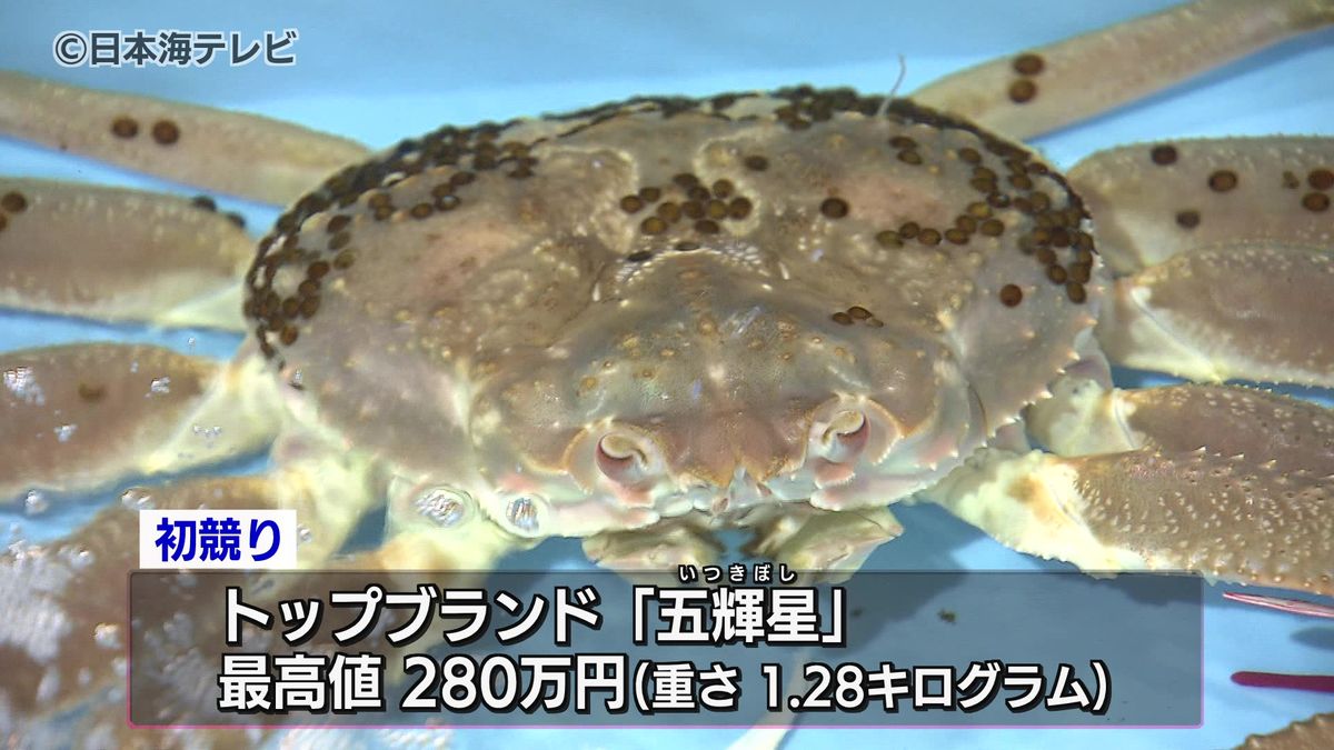 ズワイガニの初競りで280万円　漁師「期待していてほしいです」　鳥取県・鳥取港