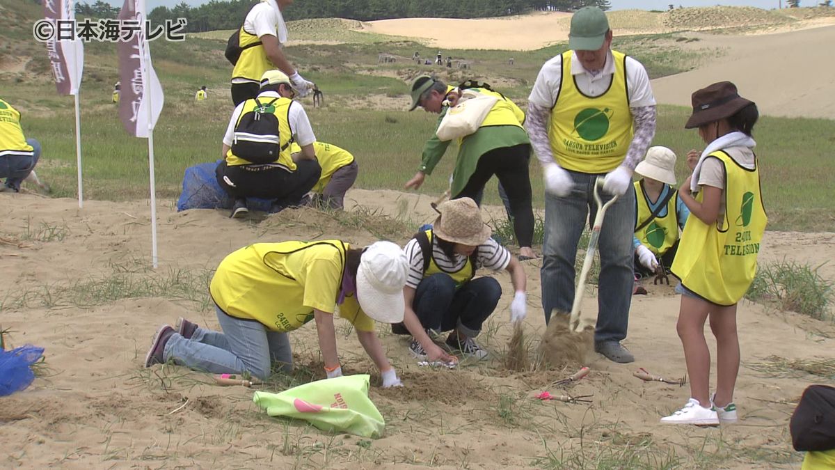 鳥取砂丘の景観を守るため…ボランティアが外来植物を除草