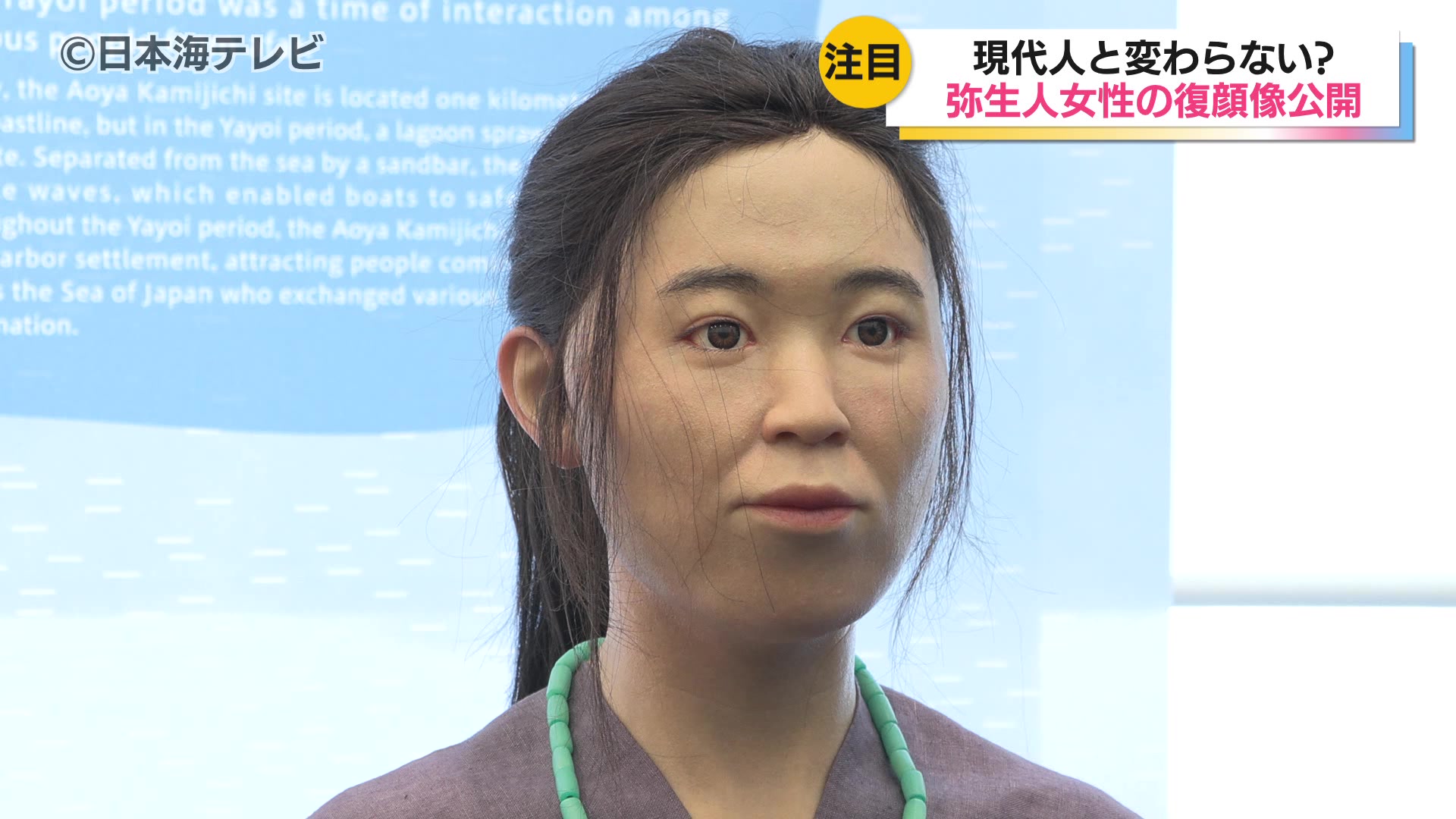 青谷弥生人複顔像 3人目女性の顔が復元されお披露目 「（現代の人と