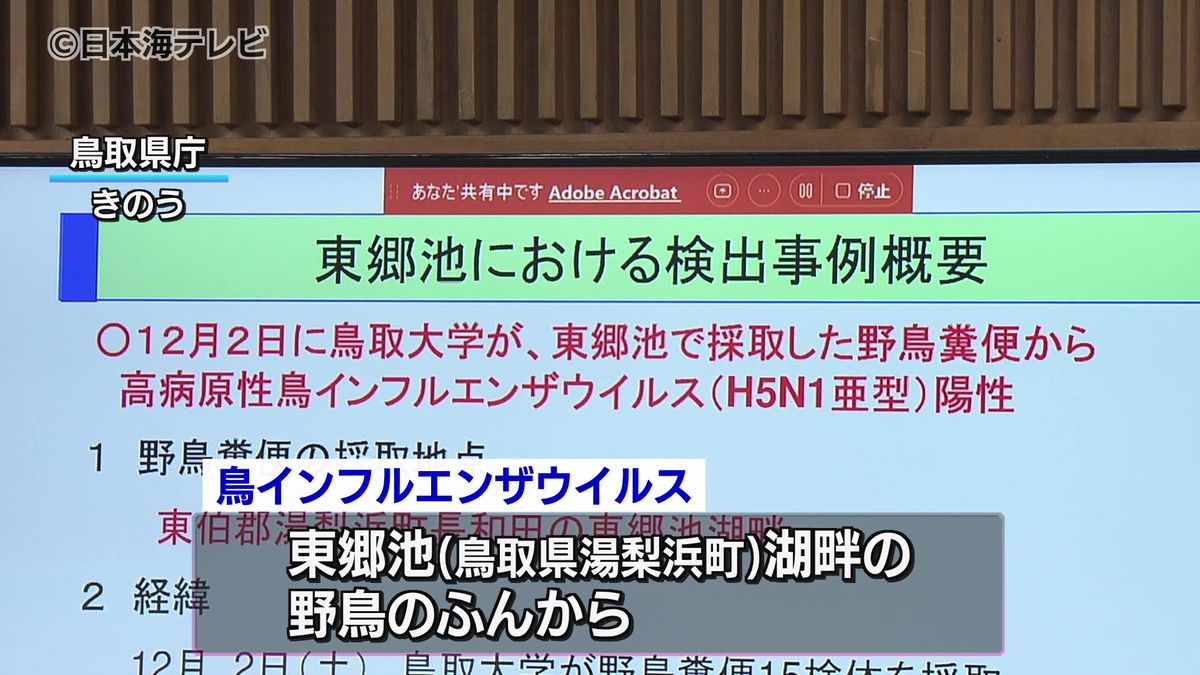 野鳥のフンから鳥インフルエンザウイルス　鳥取県が連絡会議　12日時点で周辺の養鶏所に異常は認められず