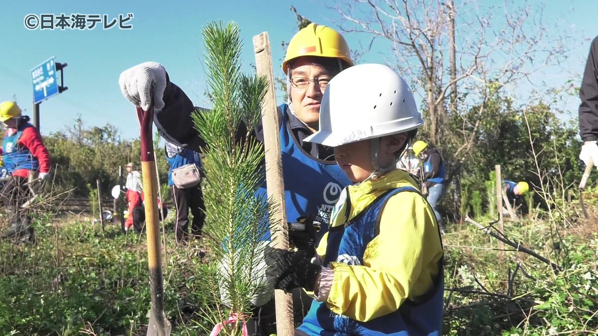 景観保全や防風のために…鳥取市の防災林で除草活動