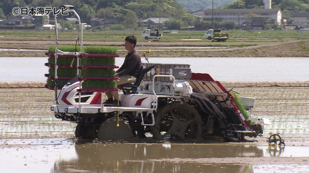 青空が広がり、晴天に恵まれ絶好の田植え日和　田植え機に乗った生産者が水の張った田んぼに次々と苗植え　島根県松江市