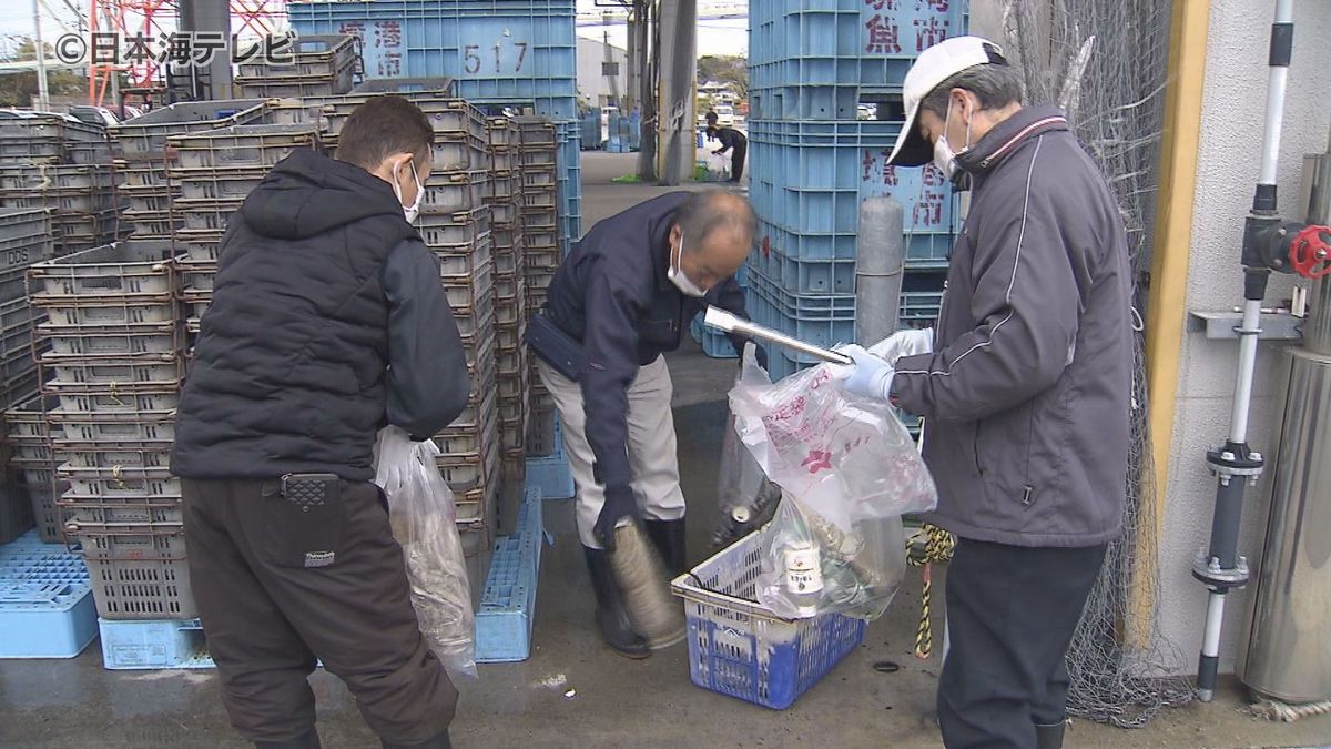「クリーンなイメージで」　ベニズワイガニ水揚げ量日本一　境港の市場で大掛かりな清掃　200名が参加　鳥取県境港市