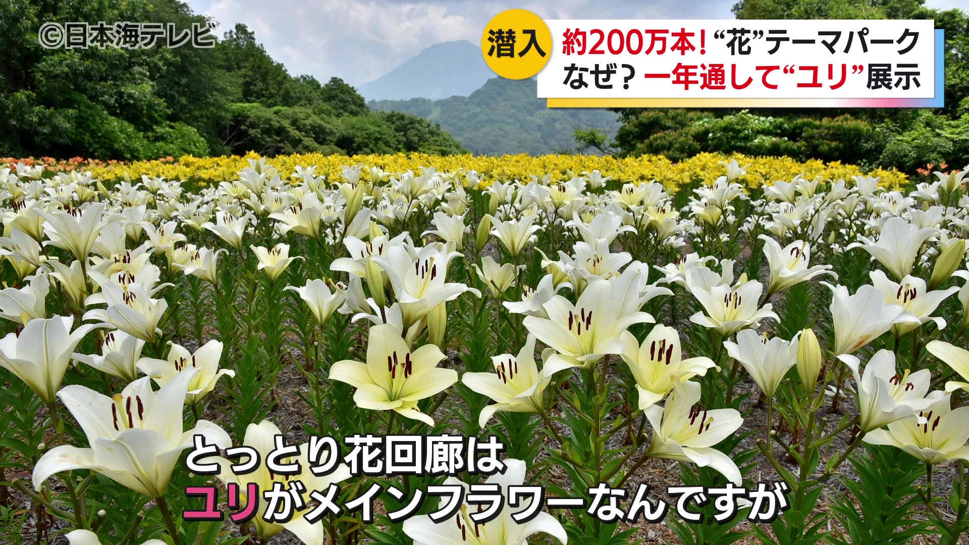 特集】とっとり花回廊の「立ち入り禁止」のウラガワに潜入 そこには一