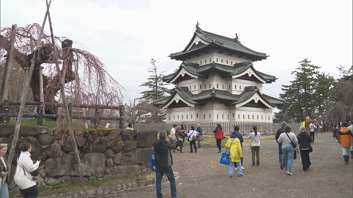 【弘前さくらまつり】人気の中華そばは値上げせず！今年で見納めの景色も！弘前枝垂れとエドヒガンが開花！