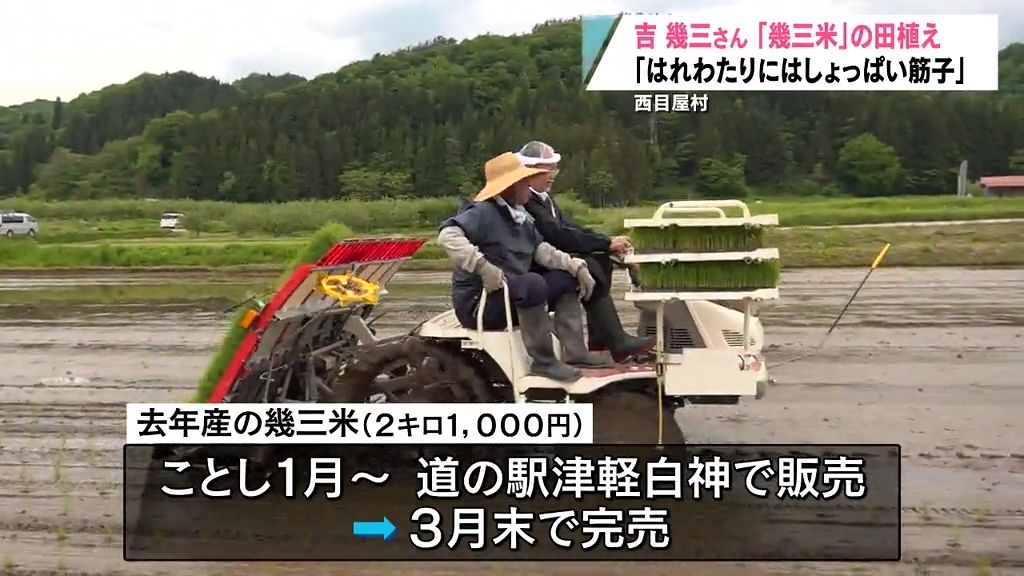 「幾三米」の田植え　西目屋村ふるさと親善大使の吉幾三さん