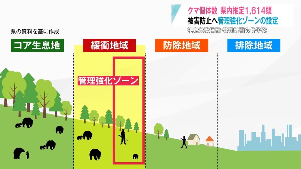 青森県内のクマが4割近く増加していた！人との“すみ分け”どうする…？東北で唯一なかった「管理計画」策定へ