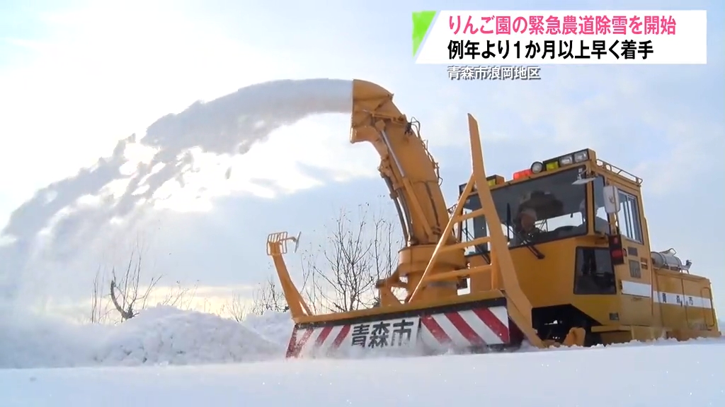 りんごの豪雪被害を最小限に…農道の緊急除雪“1ヶ月以上前倒し” 青森県