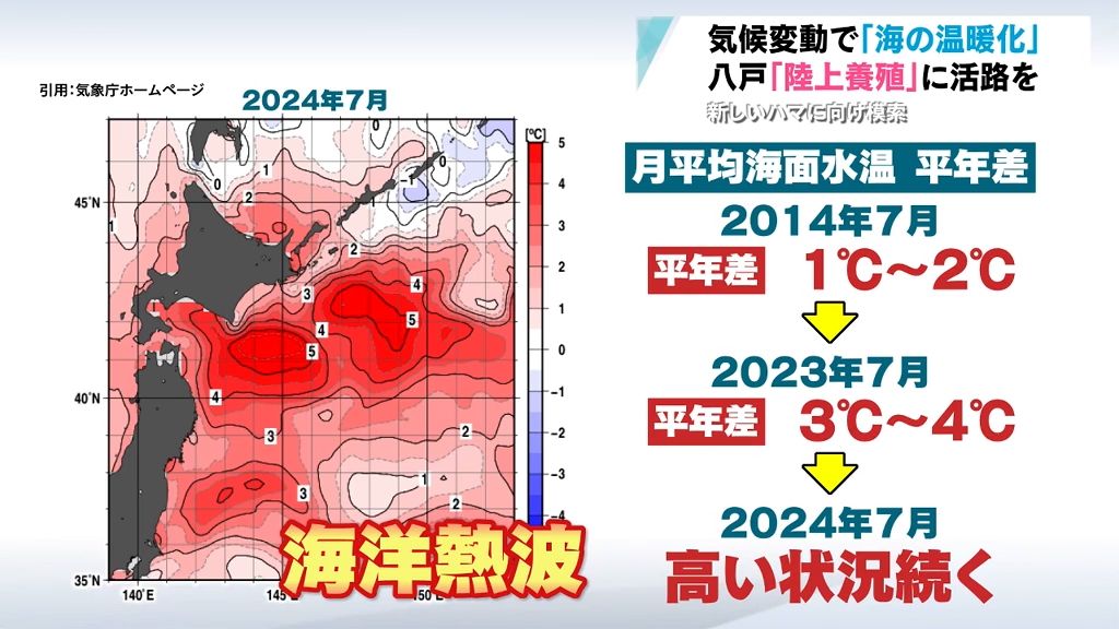 【気候変動と漁業】深刻化する“海の温暖化”に苦しむハマが活路を見いだす「陸上養殖」　期待と課題は？