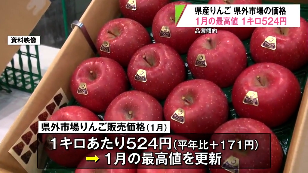 期間限定価格⭐青森産 約10kg Mサイズ　 りんご りんご 10kg 世界一 青森産 ご家庭用 送料無料 食品 : 食みらい