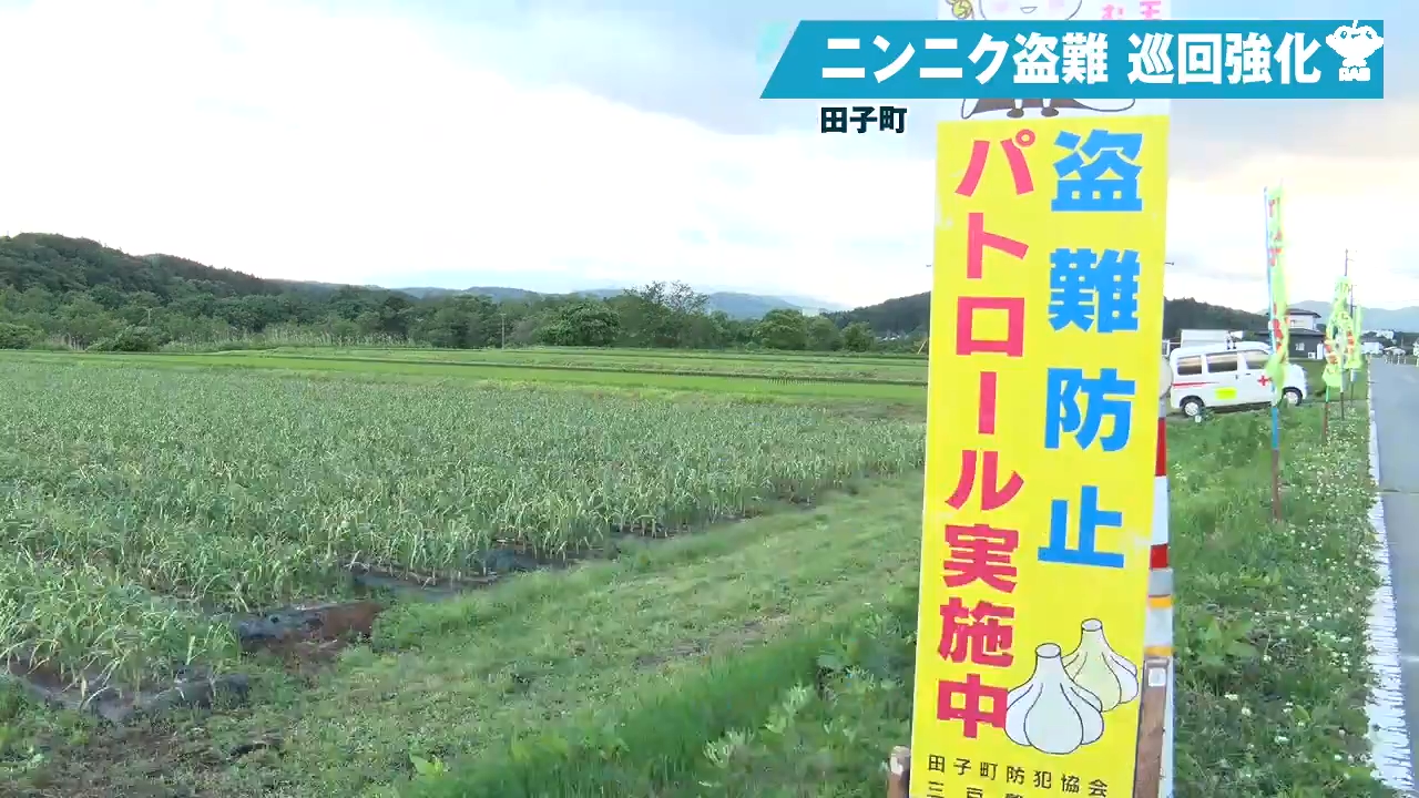 見知らぬ人がいたら通報を！ニンニクの盗難防ぐパトロール強化 青森県