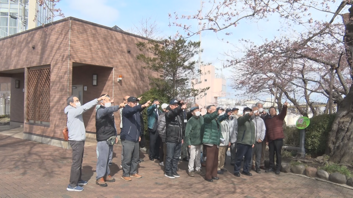【速報】八戸市で桜の開花宣言