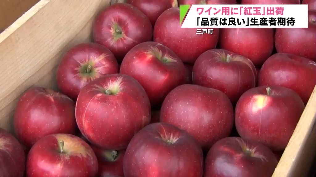 ワイン用りんご「紅玉」出荷　「ブドウに負けないようなワイン！」　青森県三戸町