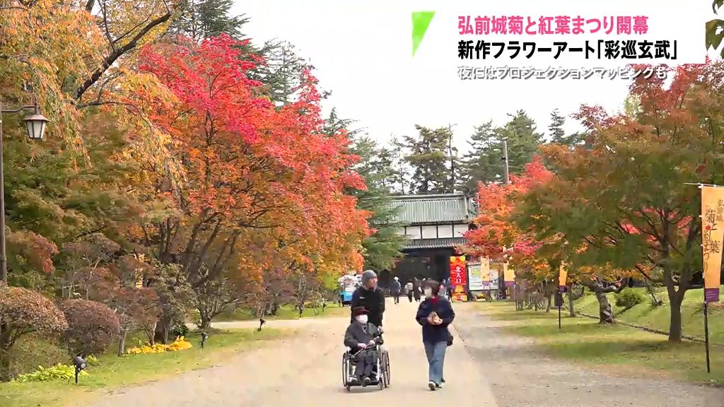 城下町の秋を彩る「弘前城菊と紅葉まつり」開幕　今年の見所は？　青森県弘前市