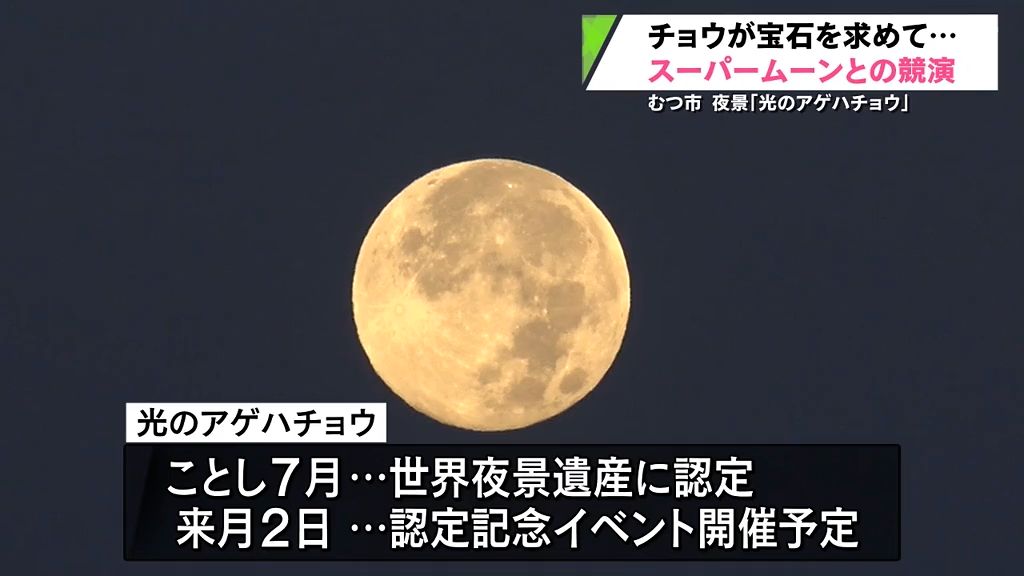 スーパームーンと光のアゲハの共演　特別な“日本百名月”に「感動しました」　青森県むつ市