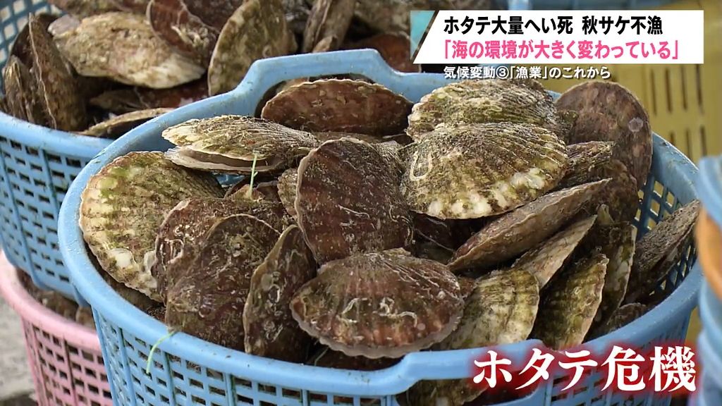 【特集】気候変動　青森県支える「漁業」のこれから