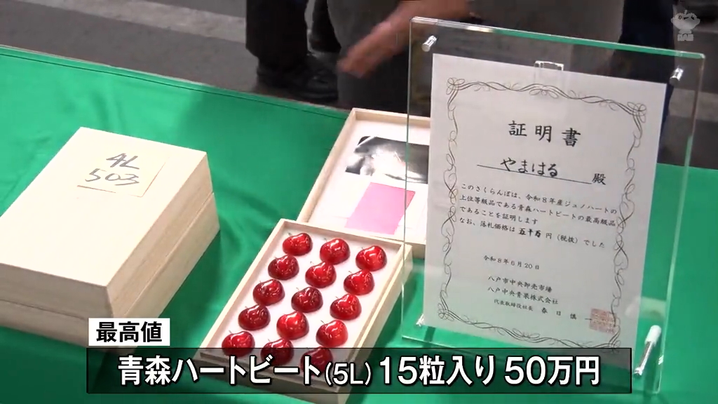 初せり「ハートビート」1粒3万円 県産サクランボ独自品種ジュノ