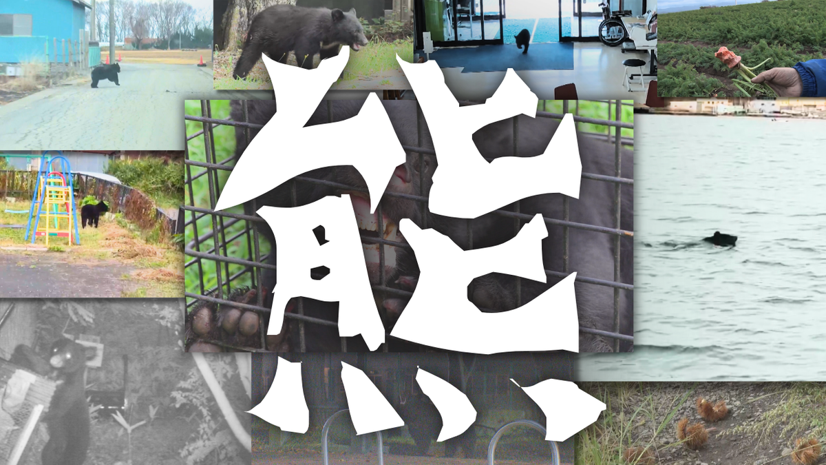 熊】「クマだらけだ…」身近に迫る恐怖 過去最悪のクマ被害 対策に追