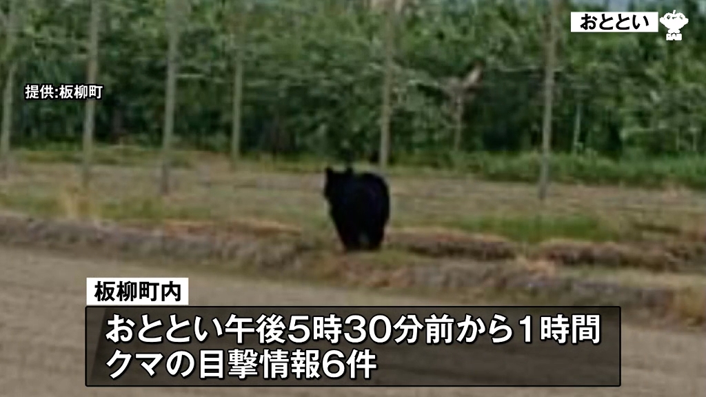 目撃相次いだクマに警戒 登下校は保護者の送迎 児童「ちょっと怖い