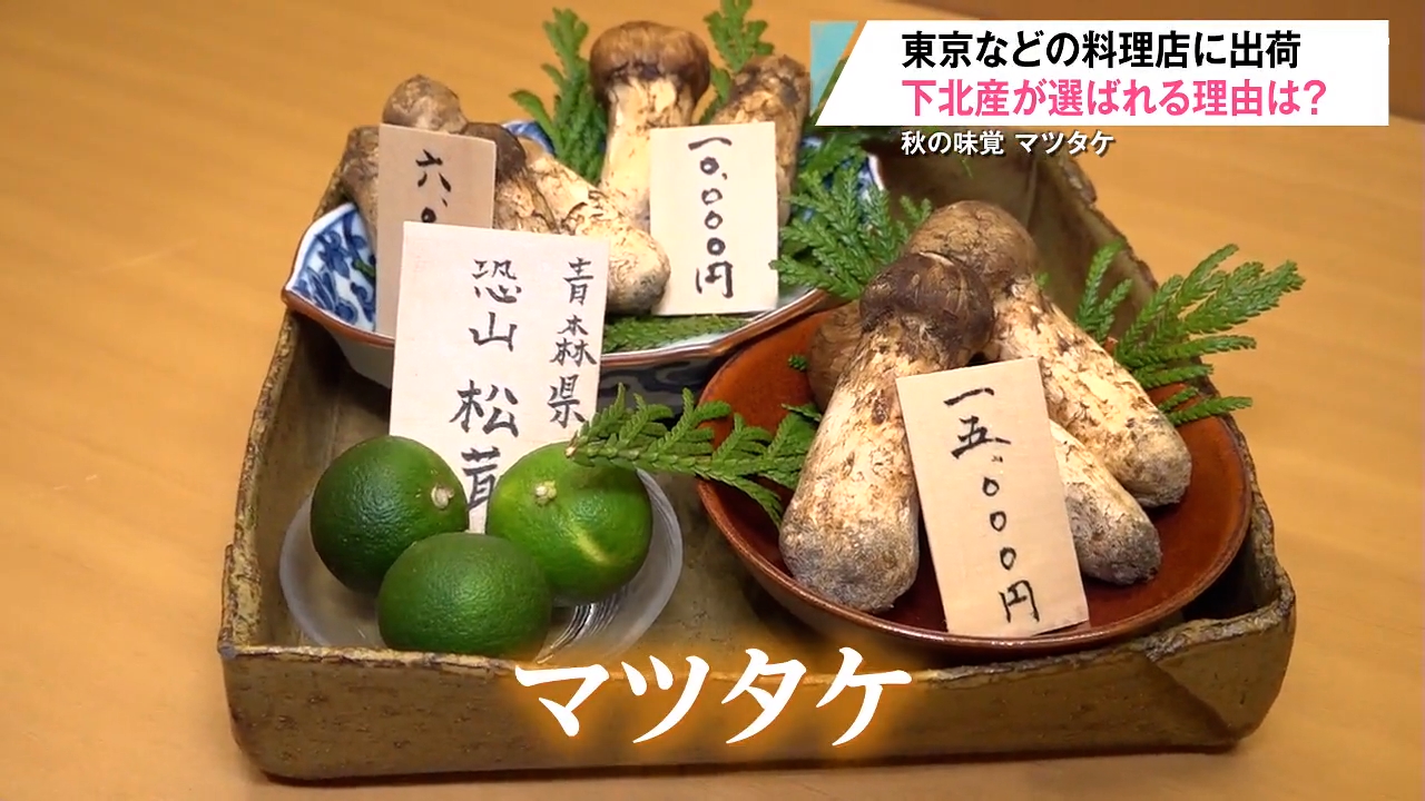 首都圏の料亭で味わう“恐山松茸” 「注文が追いつかない状態です」下北