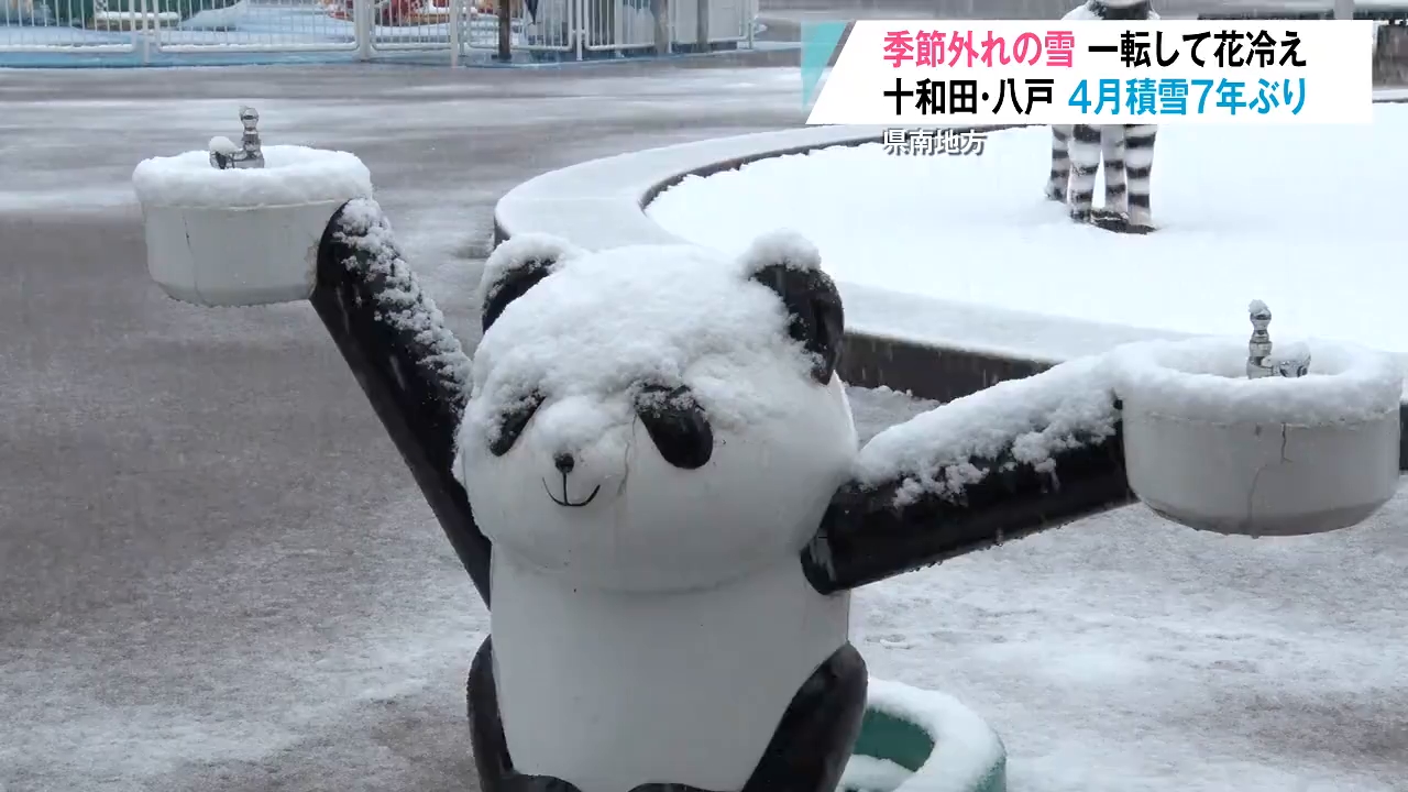 せっかくの春なのに…」季節外れの雪で遊園地も一部休止 八戸・十和田で