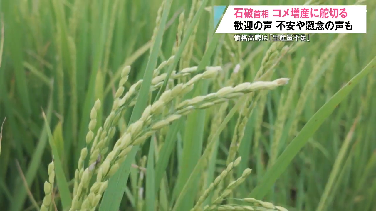【中古】 コメと農業が危ない 「コメ・農業潰しに黙っていられない」東北集会報告/同友館/坂本進一郎 コメ増産 “歓迎する声”の一方でリスクを心配する声も…（2025年8
