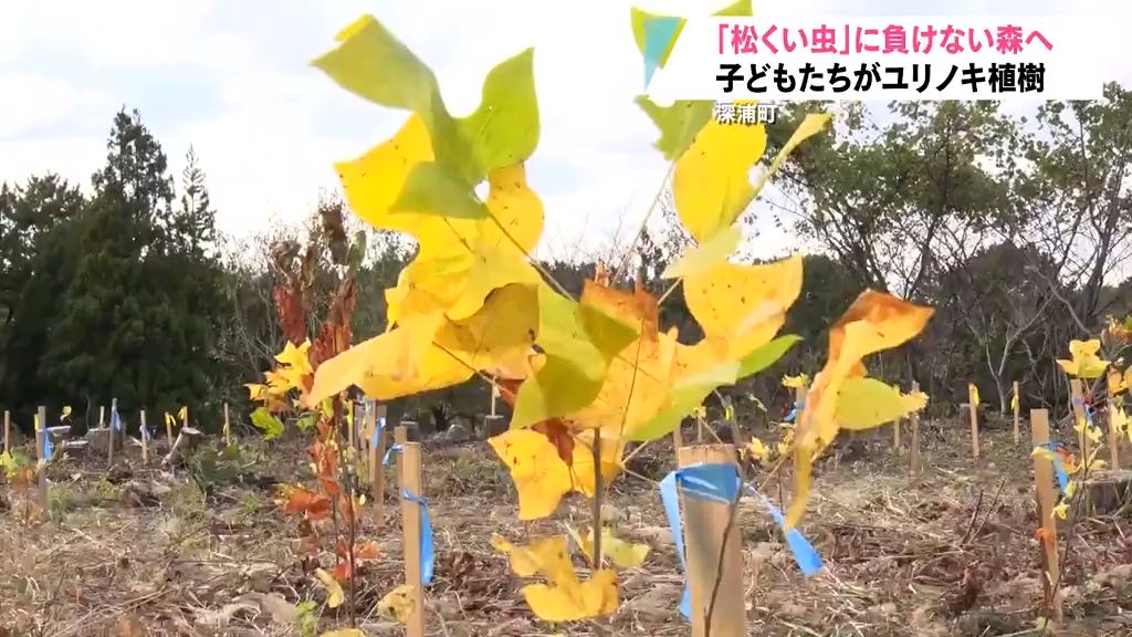 松くい虫被害対策の秘密兵器に！？植樹したのは…　青森県深浦町