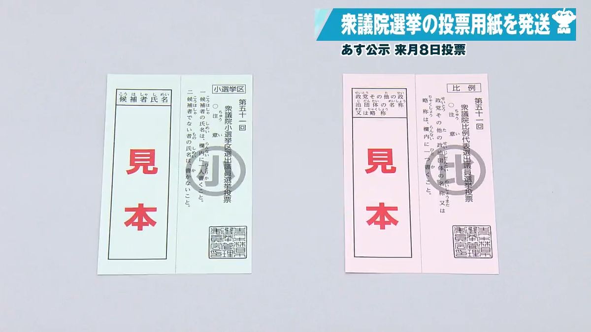 衆議院 選挙 投票 用紙