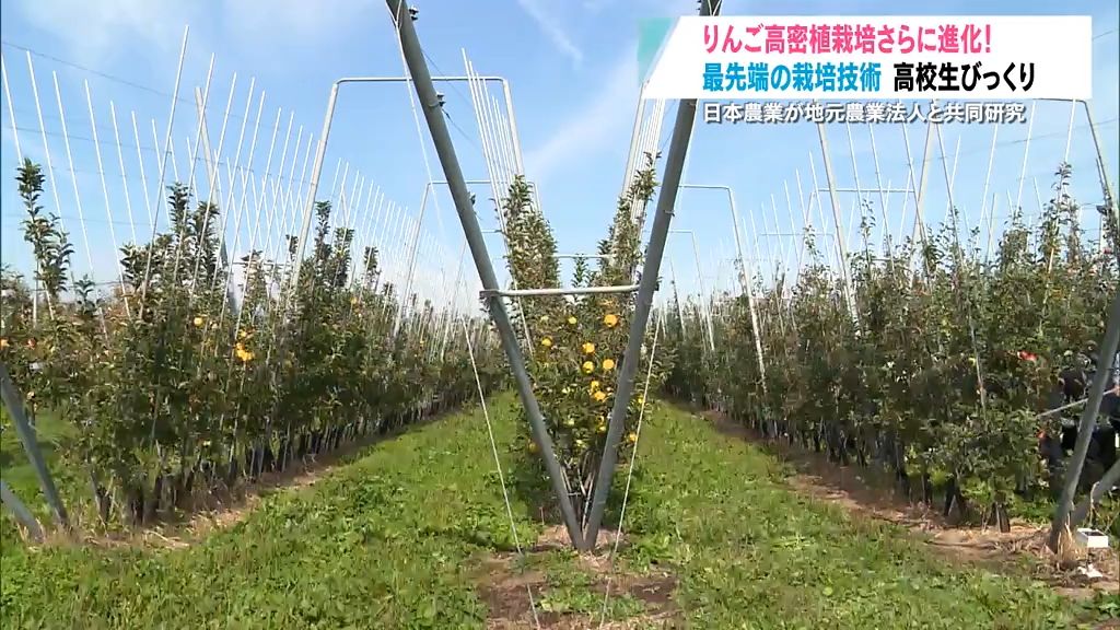 りんご高密植栽培がさらに進化！　海外最先端の栽培方法を学ぶ　青森県平川市