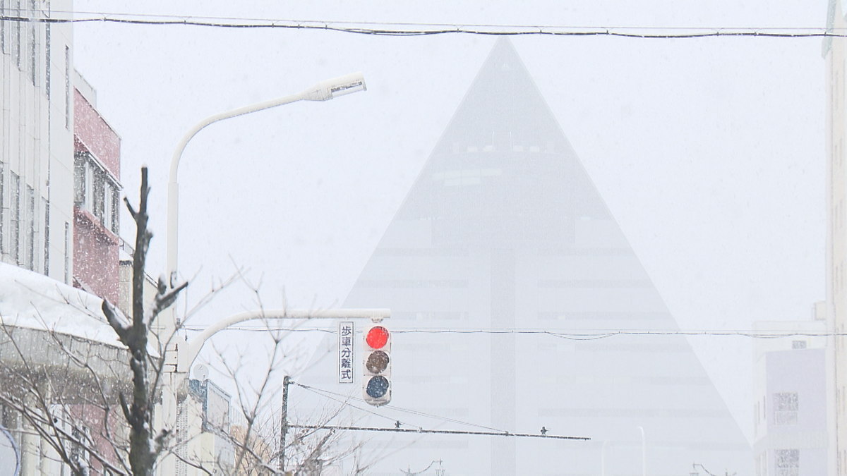 空も陸も海も…強風と雪で運休・欠航相次ぐ　警報級の暴風雪となる可能性も