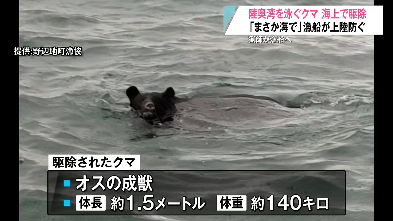 まさか海でって…」漁船でクマの“上陸”防ぐ！猟友会が漁船に乗り込み