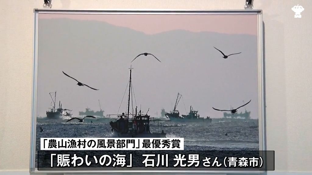 農山漁村の風景　写真コンテスト　鳥が漁船を追うように見える作品など　力作を展示