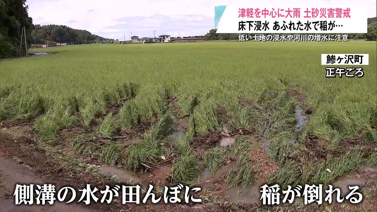 大雨であふれた水が田んぼに流れ込み稲が倒れる被害 住宅への床下浸水や道路冠 …