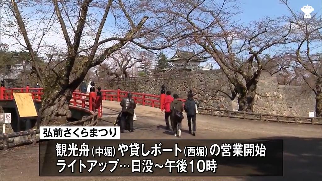 「満開になったらもっとすごいことに…」弘前さくらまつり開幕もソメイヨシノは“つぼみ”　八戸市の名所では“開花宣言”