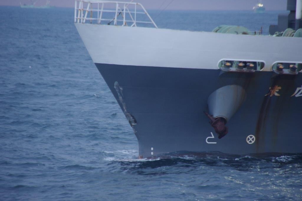海の上で浮いていた」三沢沖の漁船転覆で4人重体 捜索にあたった人が
