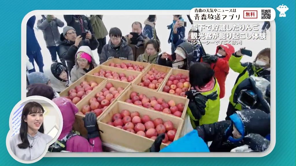 3メートル積もった雪で貯蔵した“りんご”を掘り出して味わう体験ツアー！2か月で驚きの甘さに！　青森県