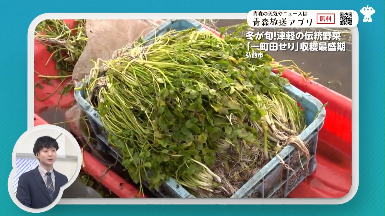 とれた野菜や果物を材料に”おひなさま” ユニークなひな人形が10体 顔