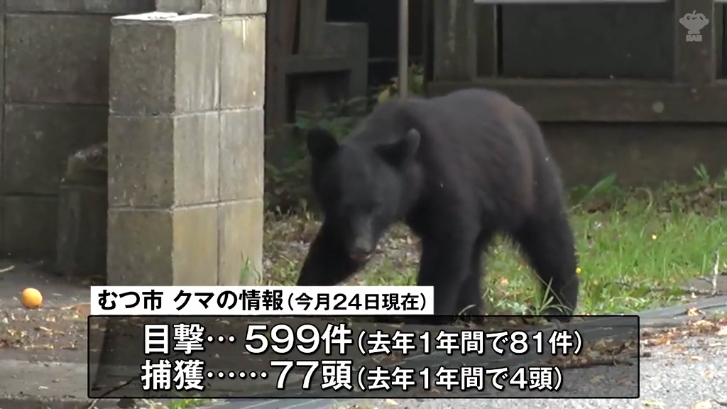 クマ襲撃を受け放置されている果樹の伐採費用 市が補助へ 今月24日まで