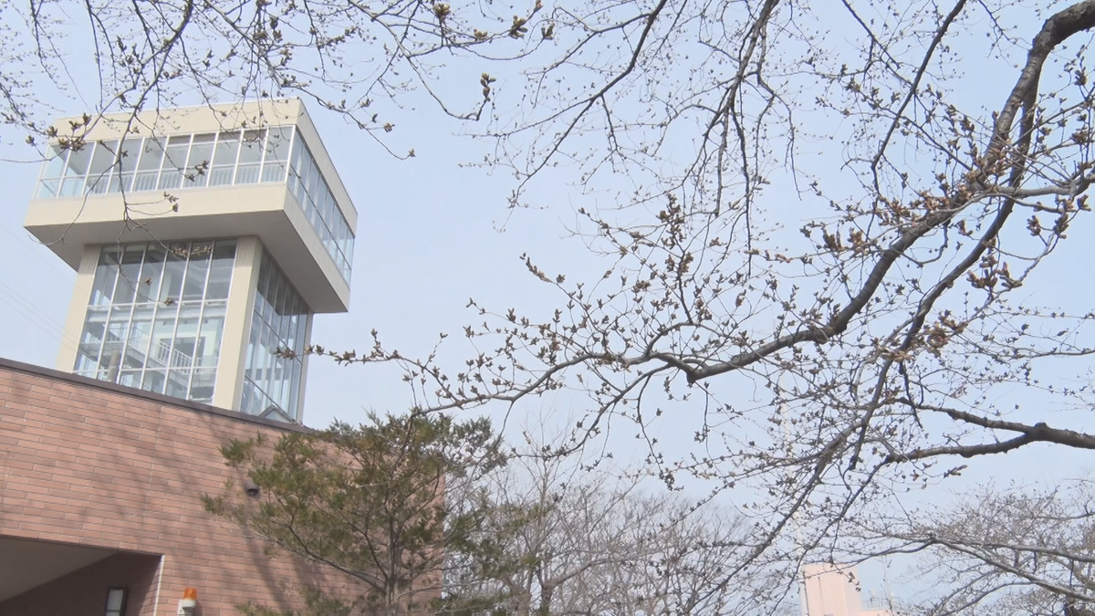 港見下ろす桜の名所で“観まもる会”が標本僕の観察開始！ことしは「ちょっと早く進んでいる」　青森県八戸市